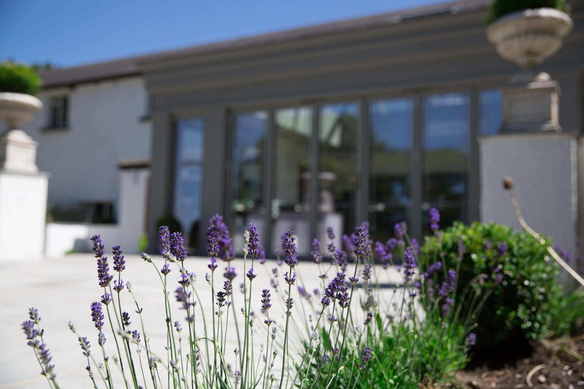 Llechwen Hall Guest House Pontypridd Exterior photo